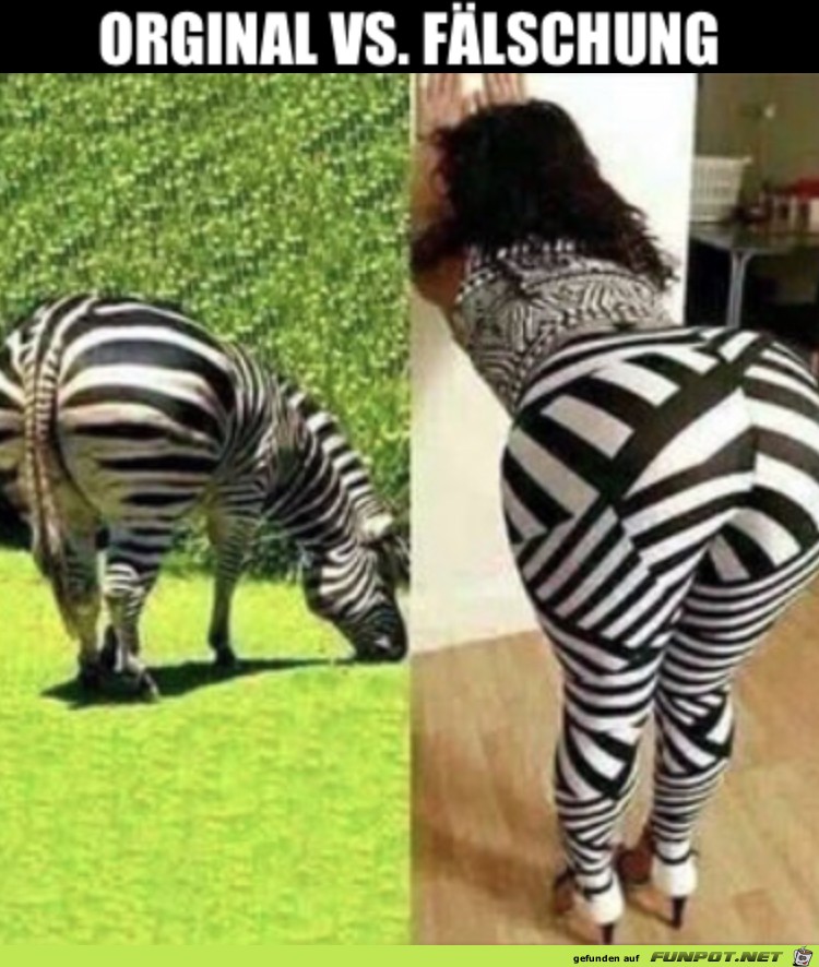 Fakezebra