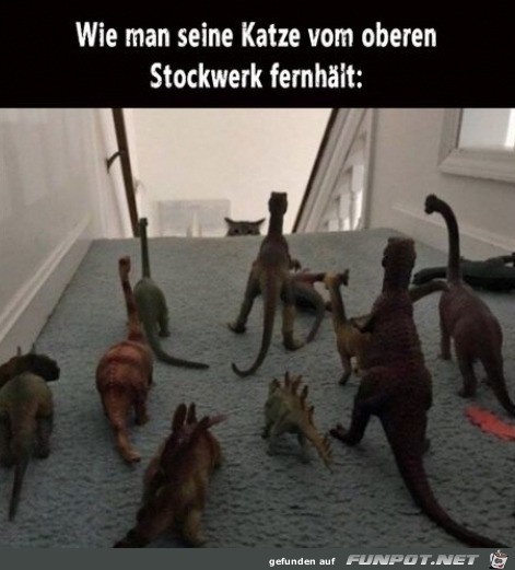 Katze vom oberen Stockwerk fernhalten