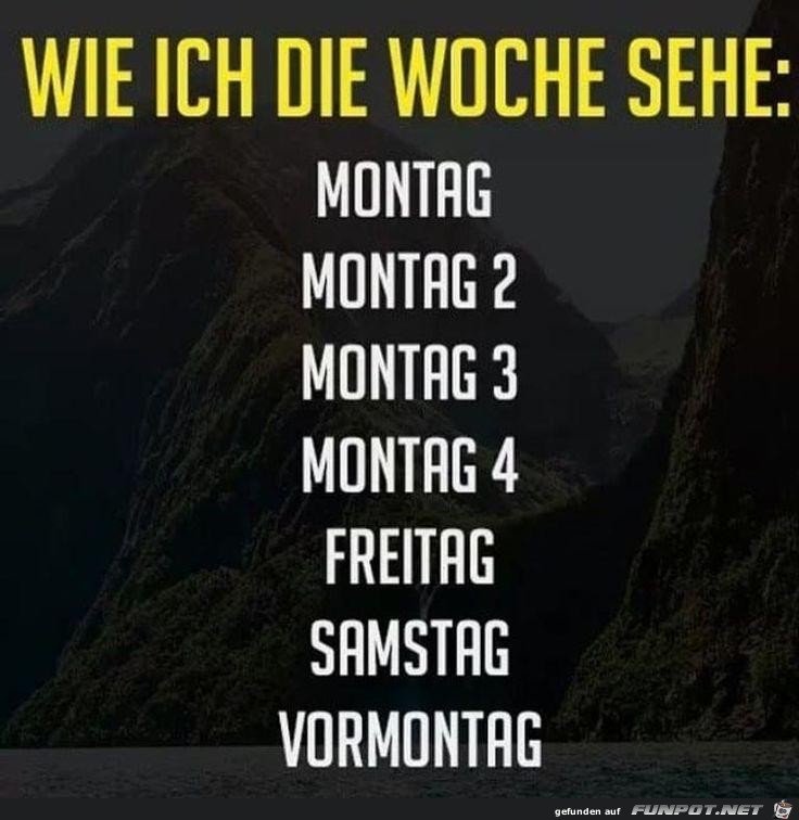 Die Woche Die Woche