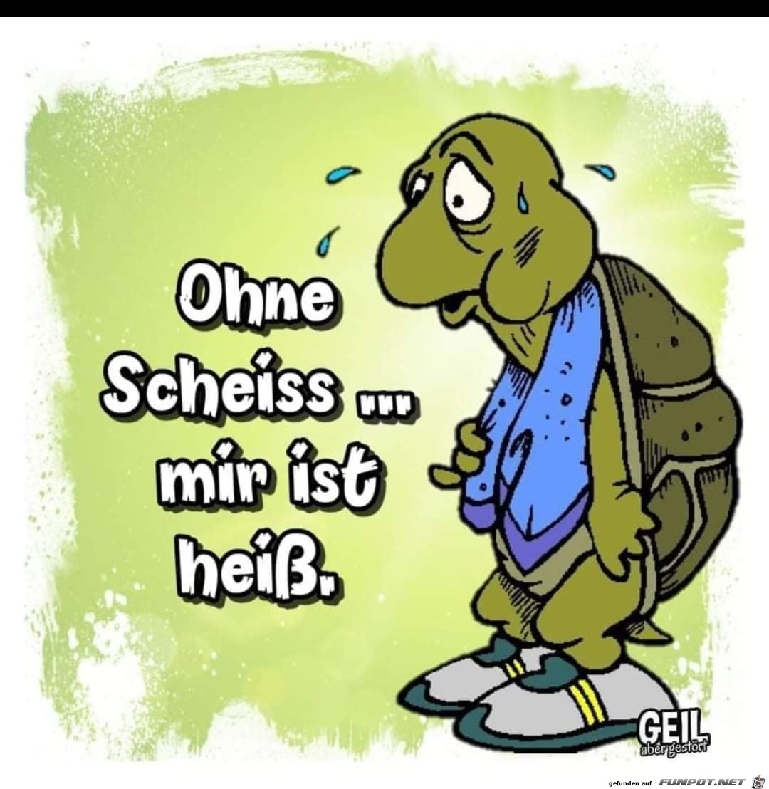 Ohne Scheiss...