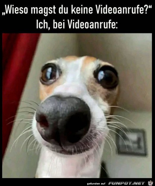 Beim Videoanruf