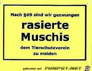 Muschis