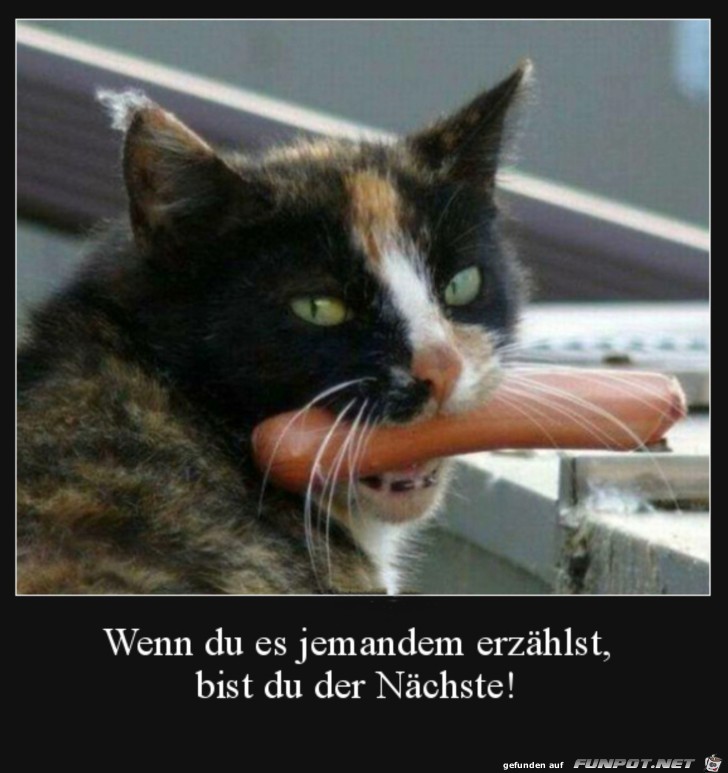 Sag nichts