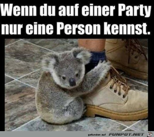 Allein auf der Party