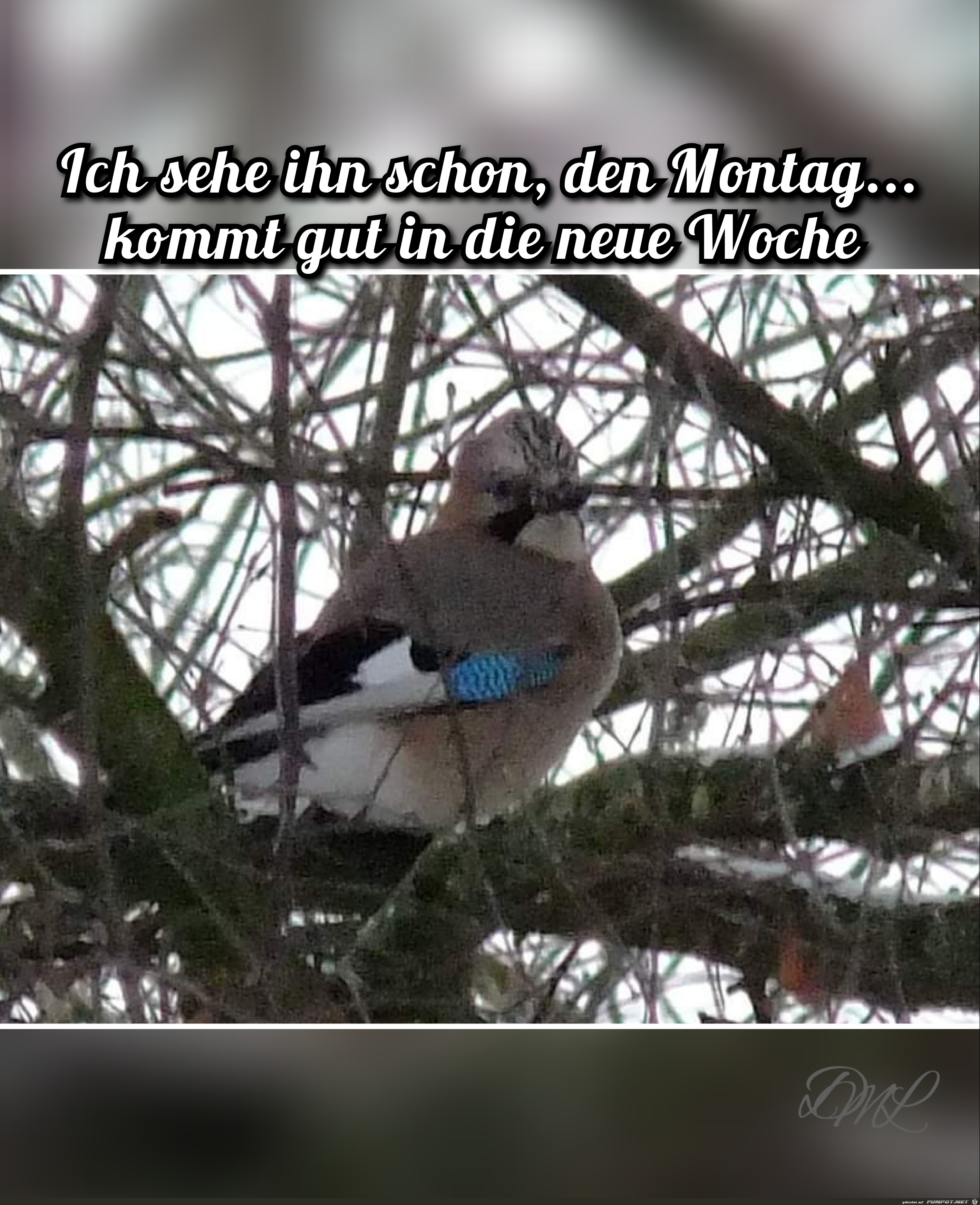 Montag, kommt gut in die neue Woche.Despina