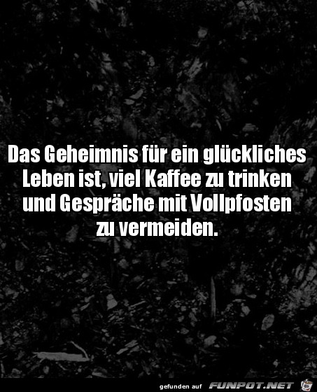 Kaffee Kaffee