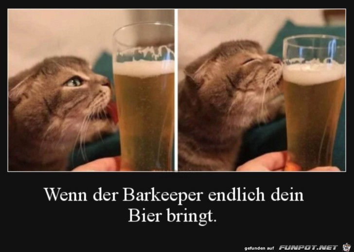 Endlich ist das Bier da