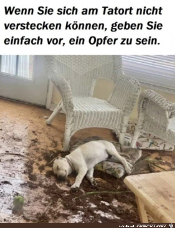 Ein Opfer