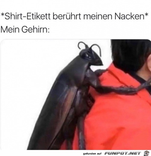 Shirt-Etikett im Nacken