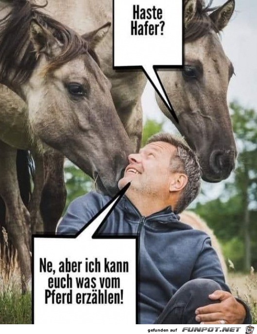 die Story vom Pferd