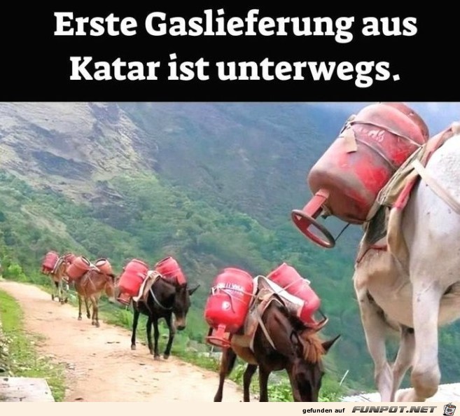 Gaslieferung