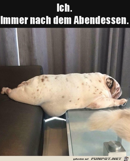 Ich nach dem Abendessen