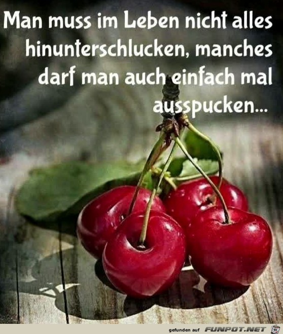 Man muss im Leben nicht alles hinunterschlucken..