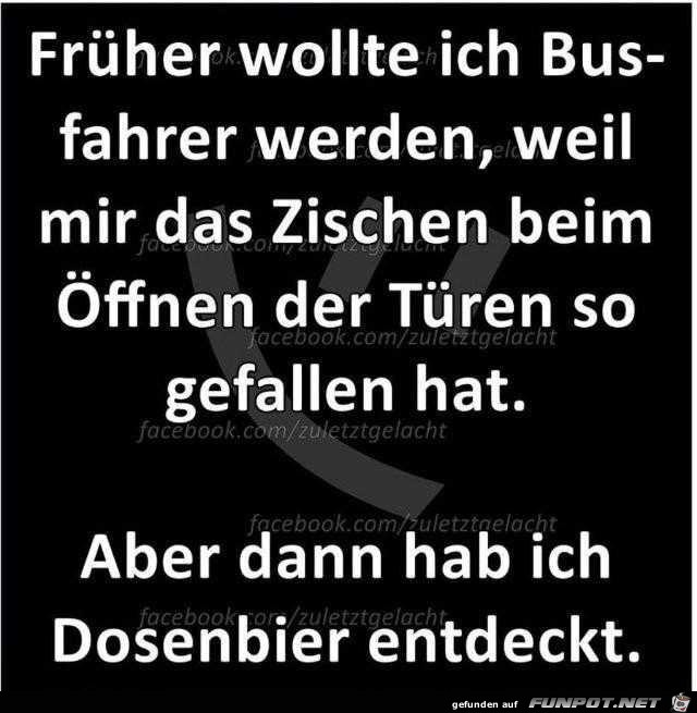 Busfahrer