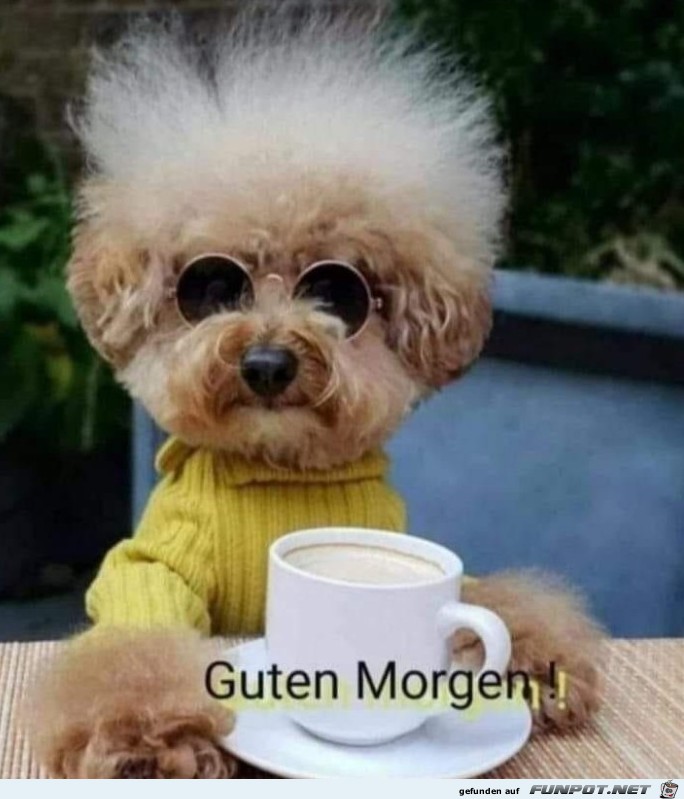 guten Morgen