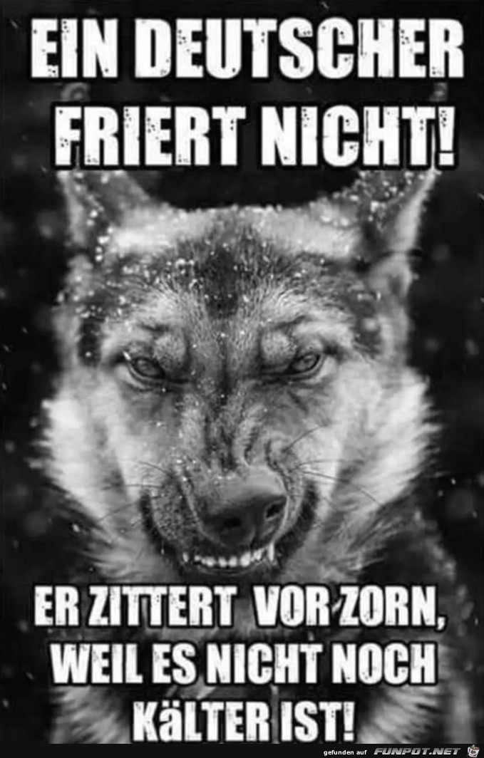 friert nicht