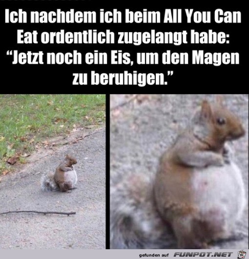 Ziemlich voll gefressen