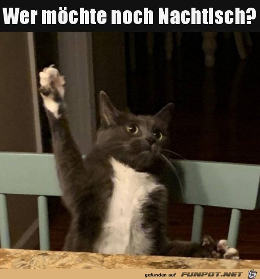 Wer will Nachtisch?