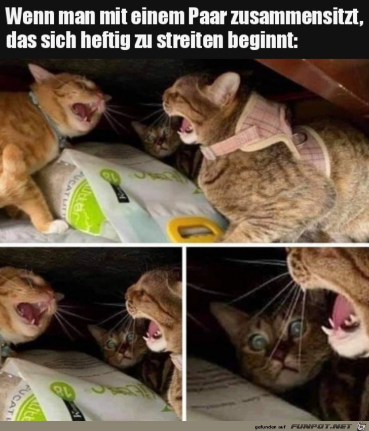 Wenn Zwei sich streiten