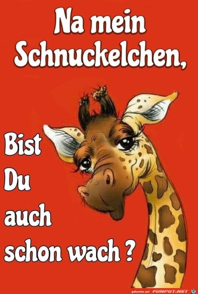 Scnuckelchen