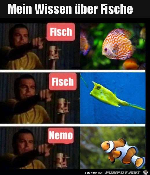 Ausgeprgtes Wissen ber Fische