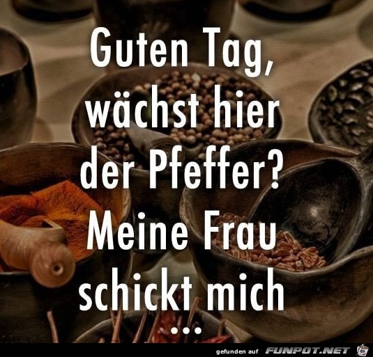 Guten Tag