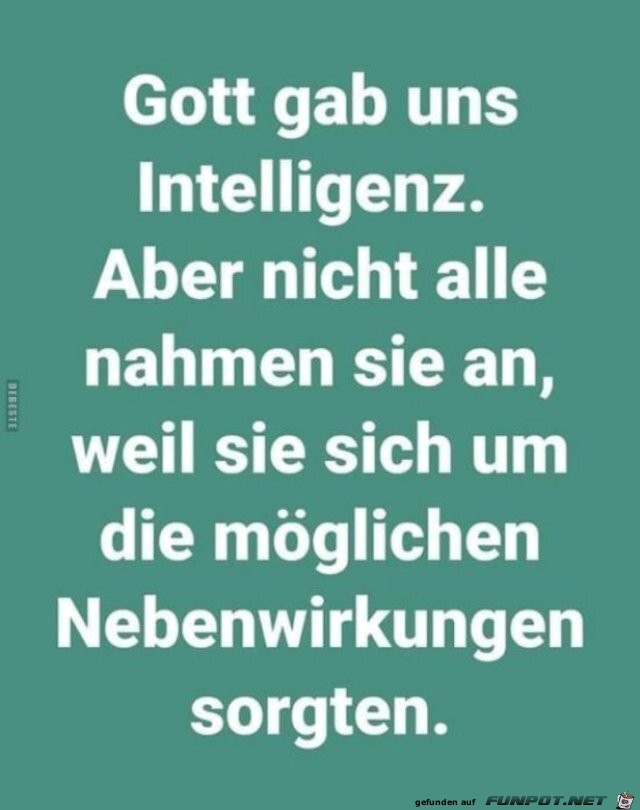 Intelligenz Intelligenz