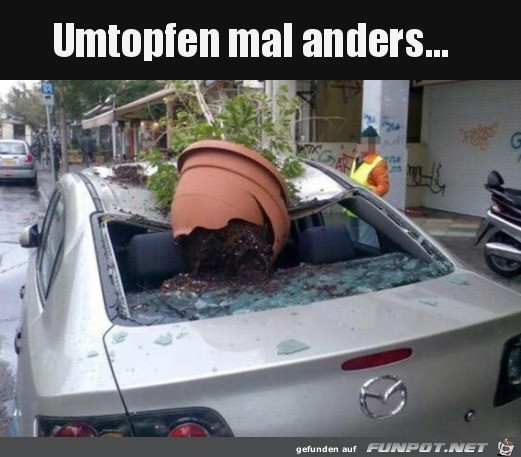 Mal anders umtopfen