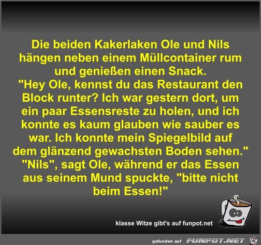 Die beiden Kakerlaken Ole und Nils hngen neben einem...