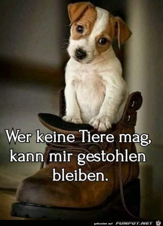 Wer keine Tiere mag