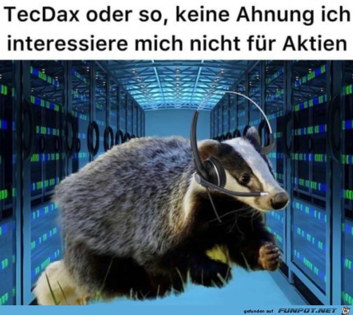 Dachs hat keine Ahnung von Aktien