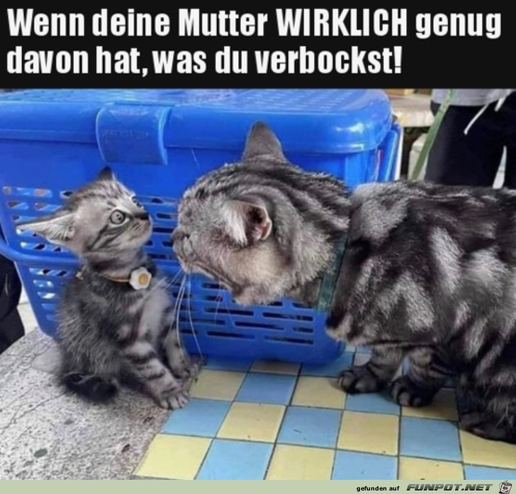 Deine Mutter hat jetzt genug