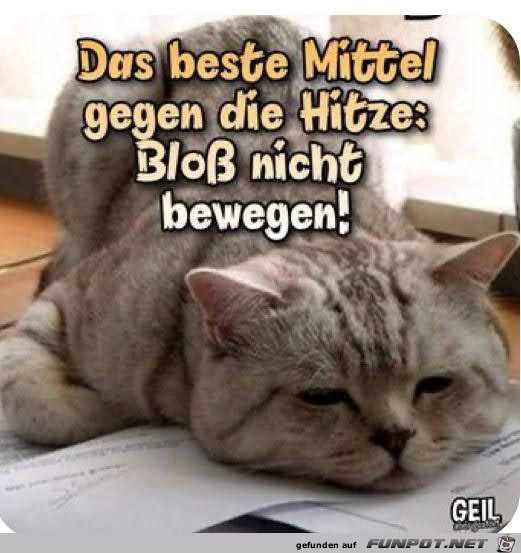 Das beste Mittel