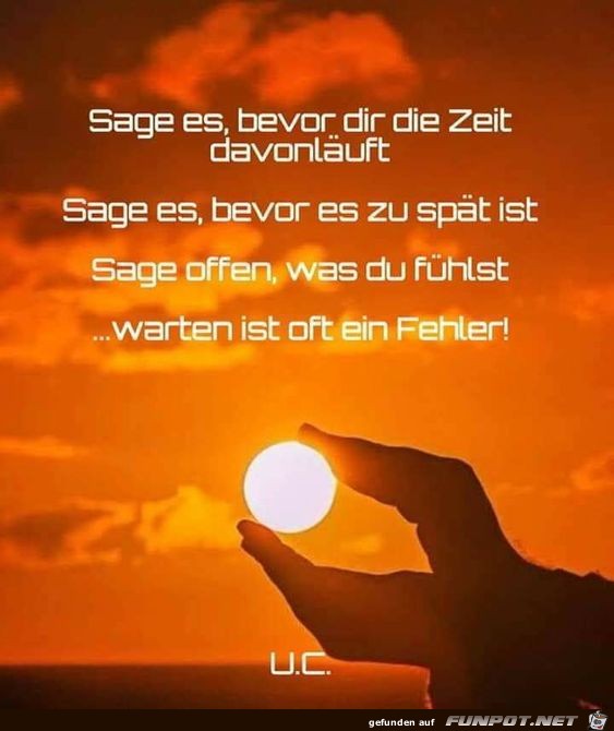 Sage es bevor dir die Zeit davon luft