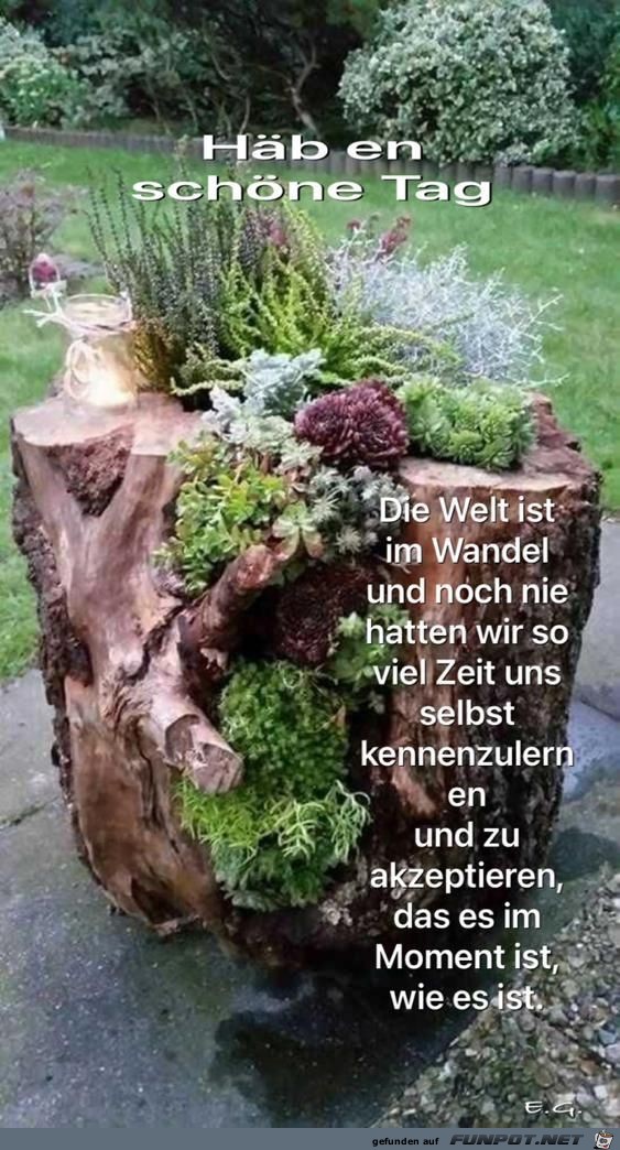 Die Welt ist im Wandel