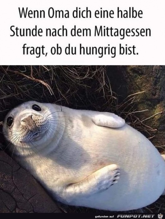 Noch Hunger?