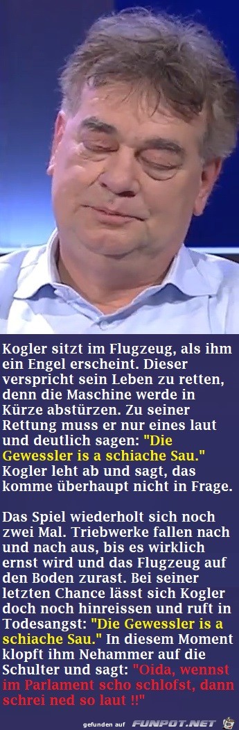 Kogler im Flugzeug