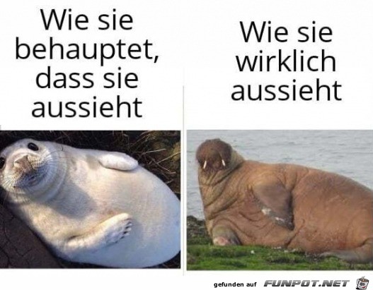 Die Realitt ist ernchternd