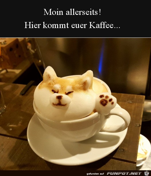 Guten Morgen