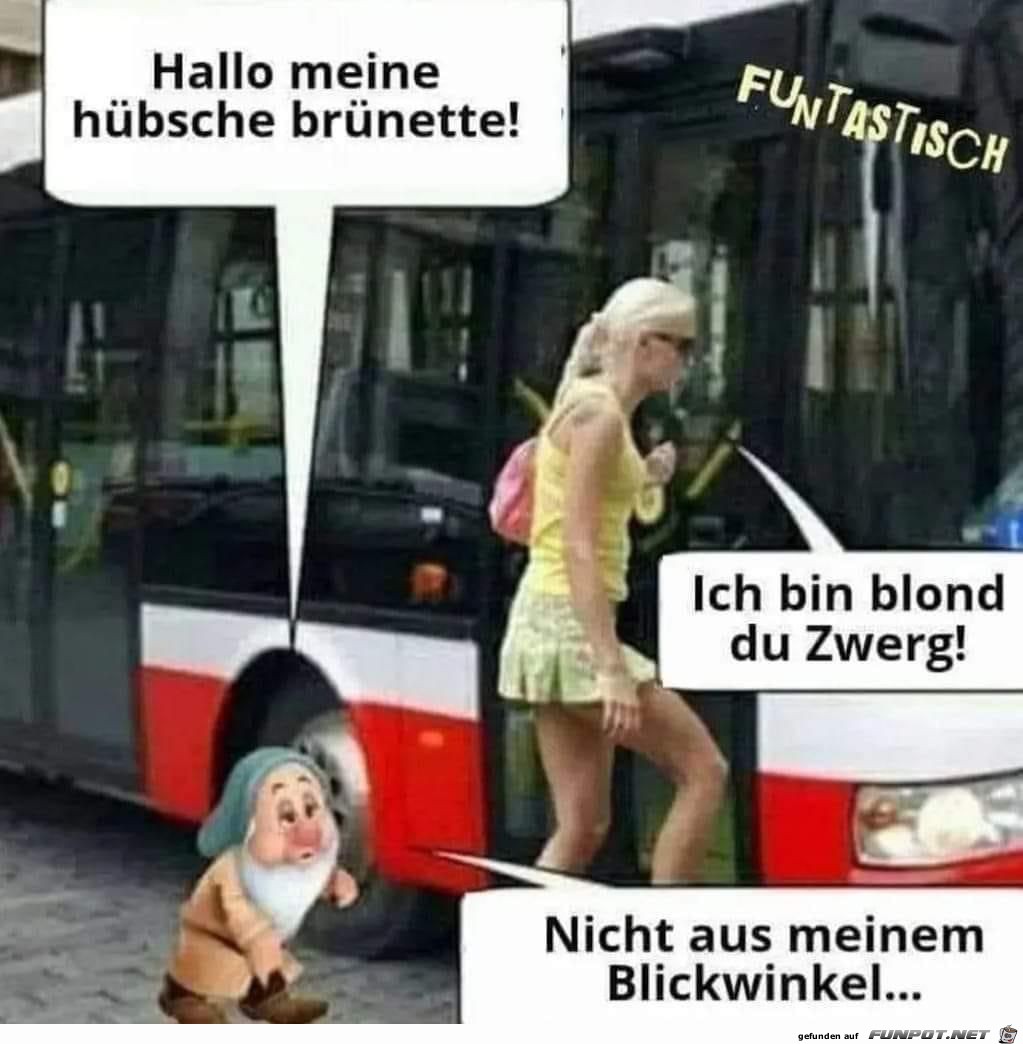 Zwerg Zwerg