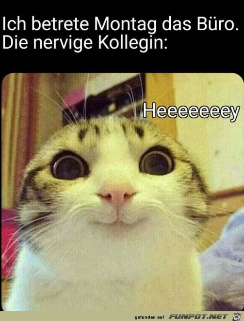 Die nervige Kollegin