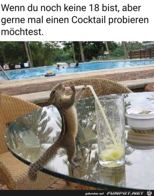 Mal einen Cocktail probieren