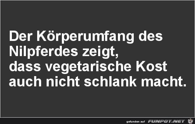 Körperumfang Körperumfang