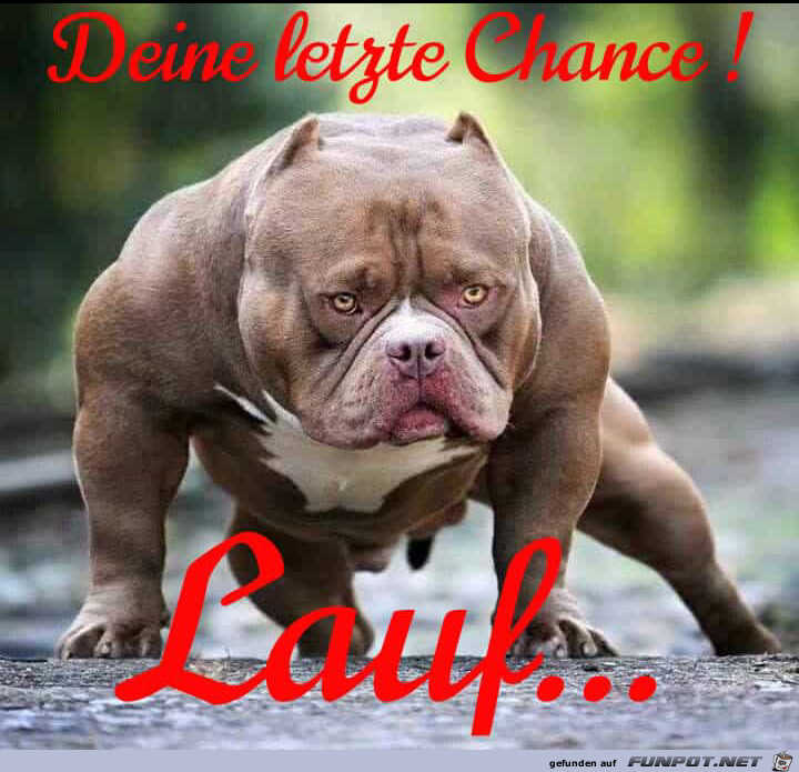 Lauf...