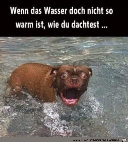 Wasser ist kalt