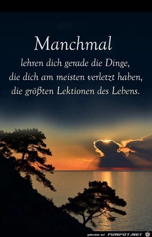 Manchmal lehren dich die Dinge