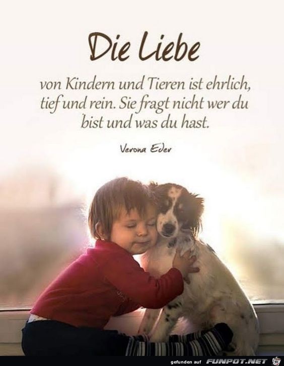 Die Liebe von Kindern und Tieren ist ehrlich