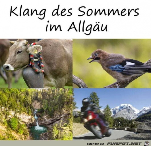 Allgu-Klnge