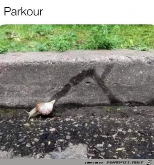 Schnecken-Parkour