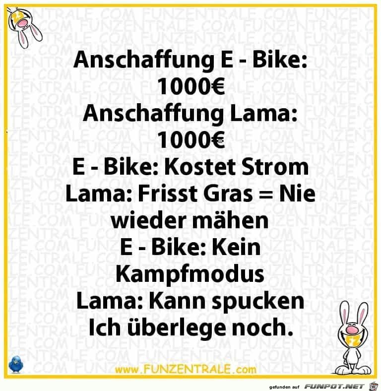 Anschaffung